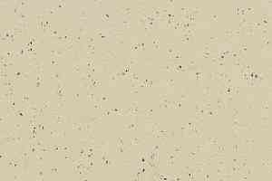 Линолеум Forbo Marmoleum Solid Cocoa 3584-358435 white chocolate фото  | FLOORDEALER